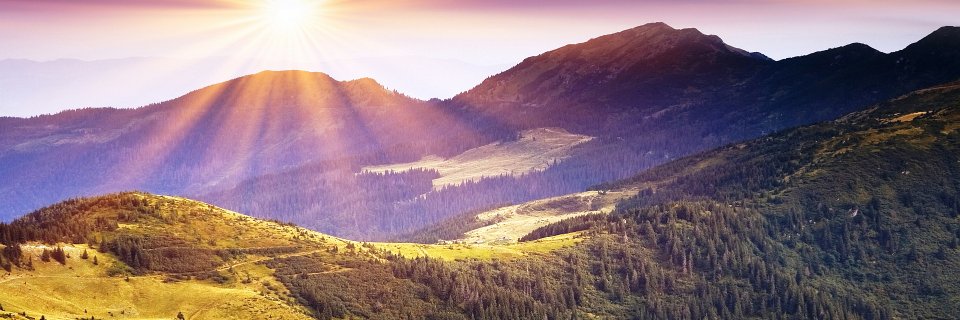 LWandLiz's profile banner image
