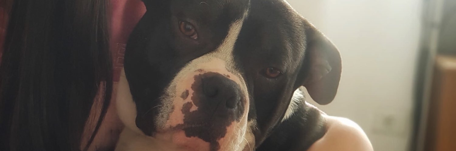 Maiilyy's profile banner image