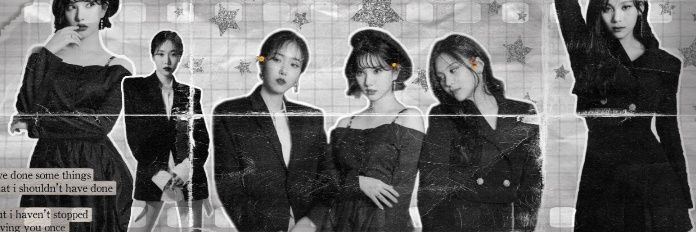 blussxom's profile banner image
