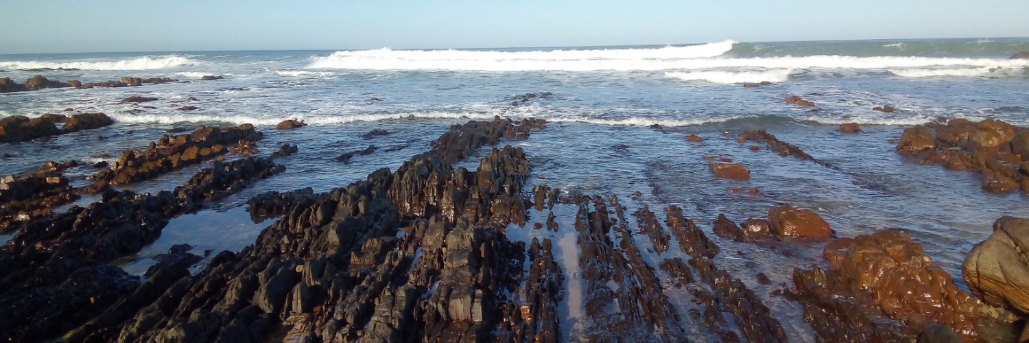 Boss Taughtus banner