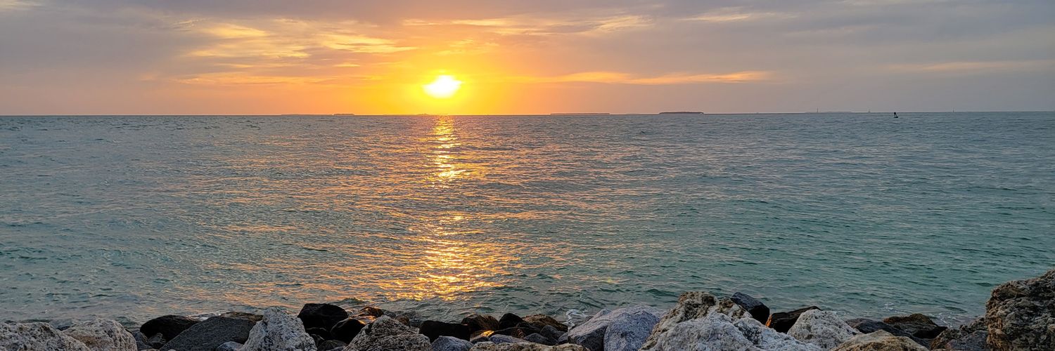 Brittany Molnar banner