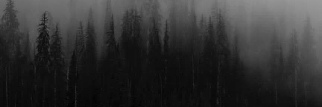 k_napash's profile banner image