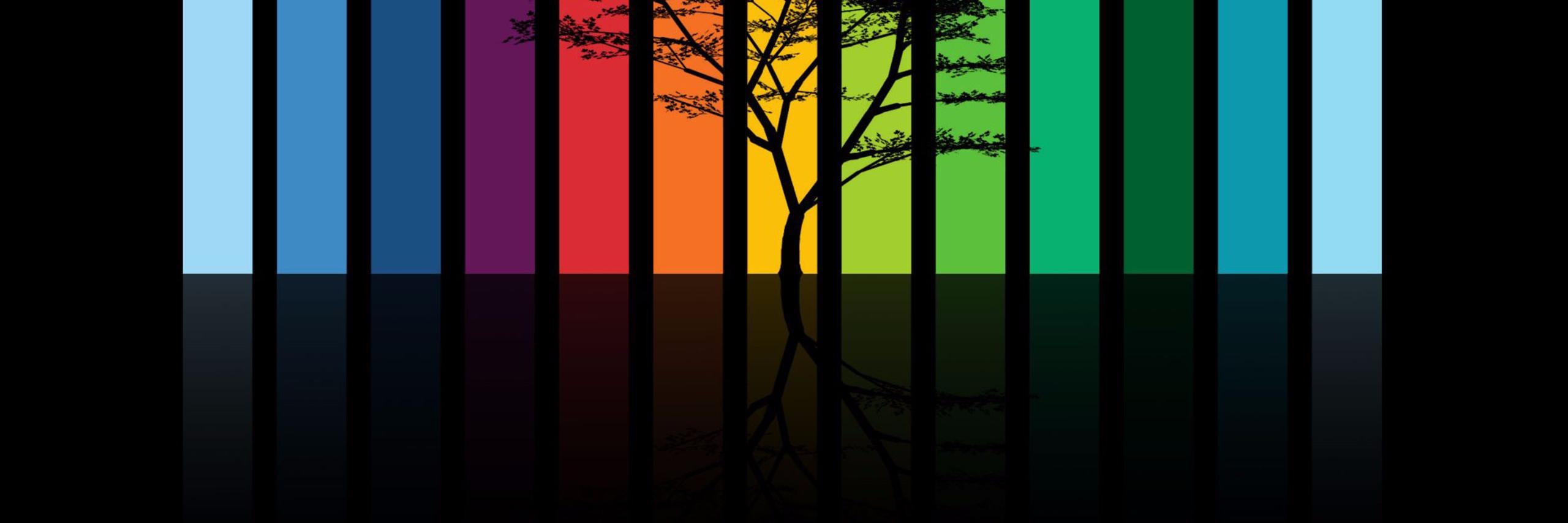 swelfy banner
