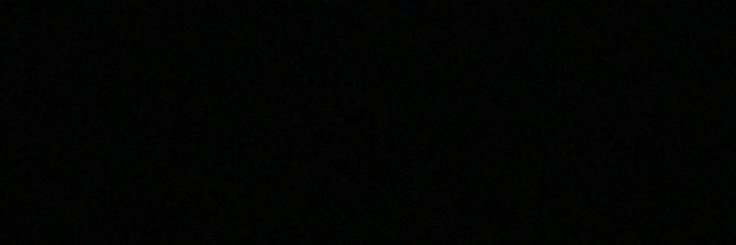 titsvonglitz's profile banner image