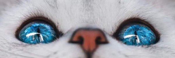 Zoologist232 Profile Banner