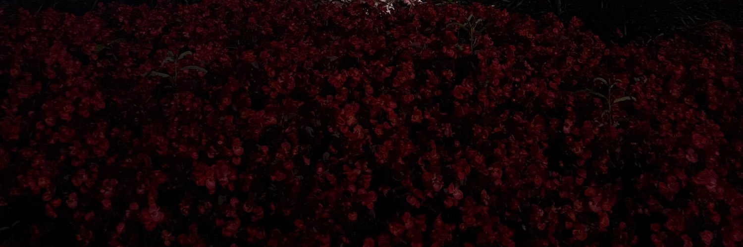 ivaasee's profile banner image