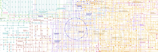 JoeIppolitoLab Profile Banner