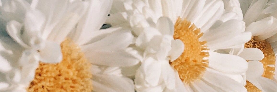 knokone's profile banner image