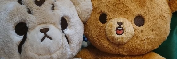 ꢾ୧æcy₊ banner