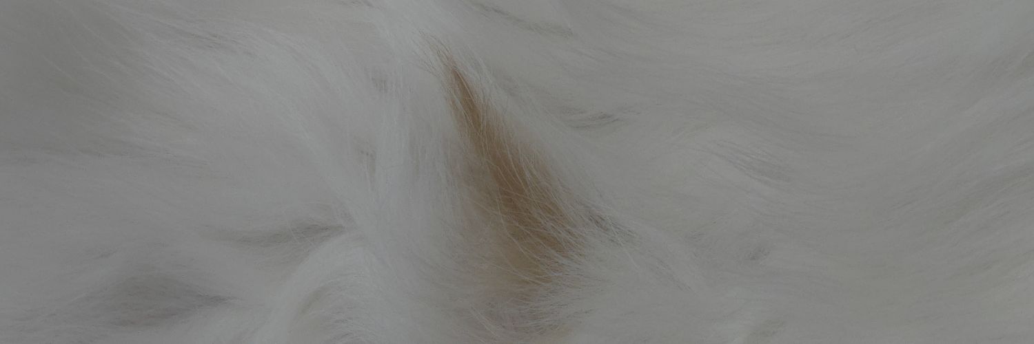 bxoxoi's profile banner image
