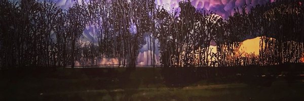 TheresaFitton1 Profile Banner