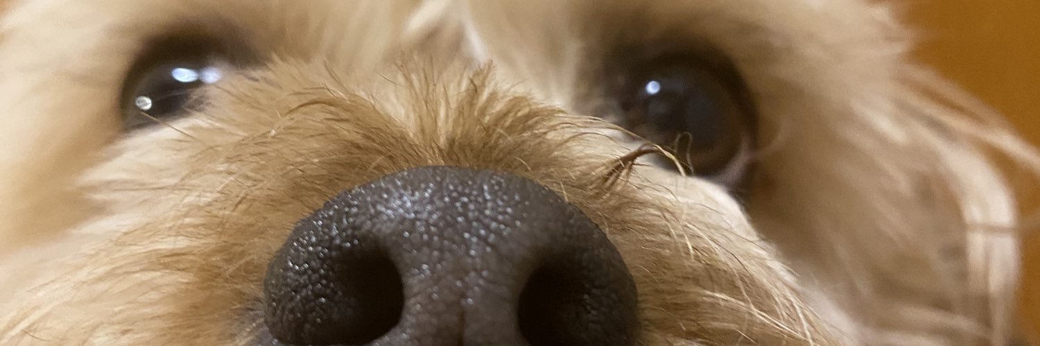 AngelLow77's profile banner image