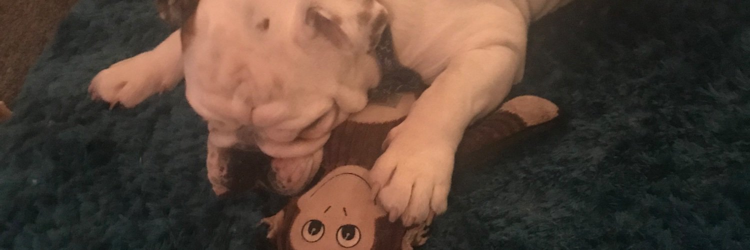 CharlieBlanck's profile banner image