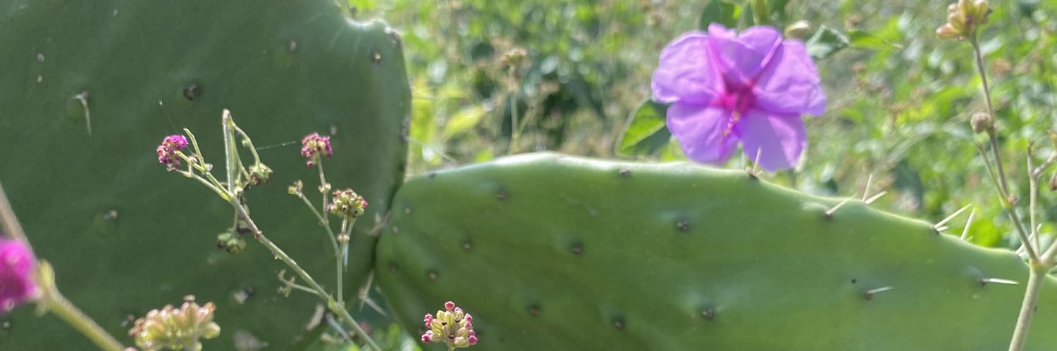 MarycruzJC's profile banner image