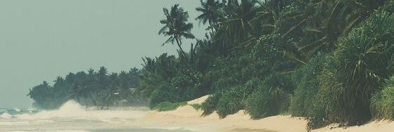 Adamu banner