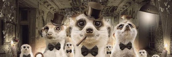 Inouk11s Profile Banner