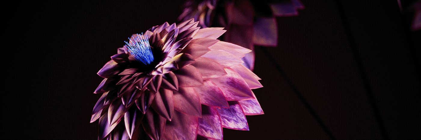 bot_TTTED's profile banner image