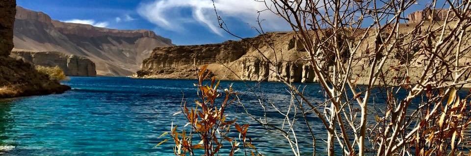 Tabish Forugh banner