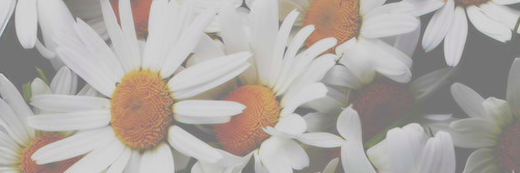 kmblopez's profile banner image