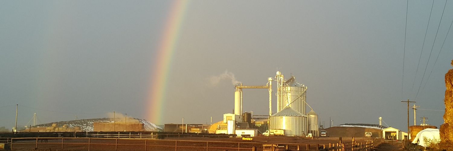 eatbeef's profile banner image