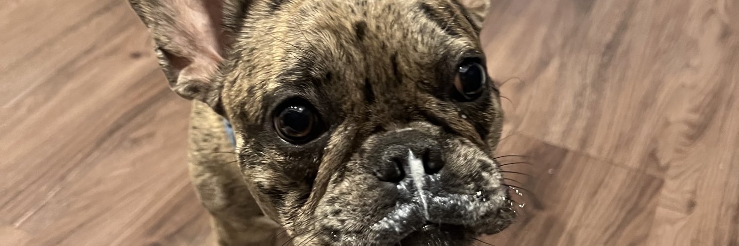 crysalottt's profile banner image