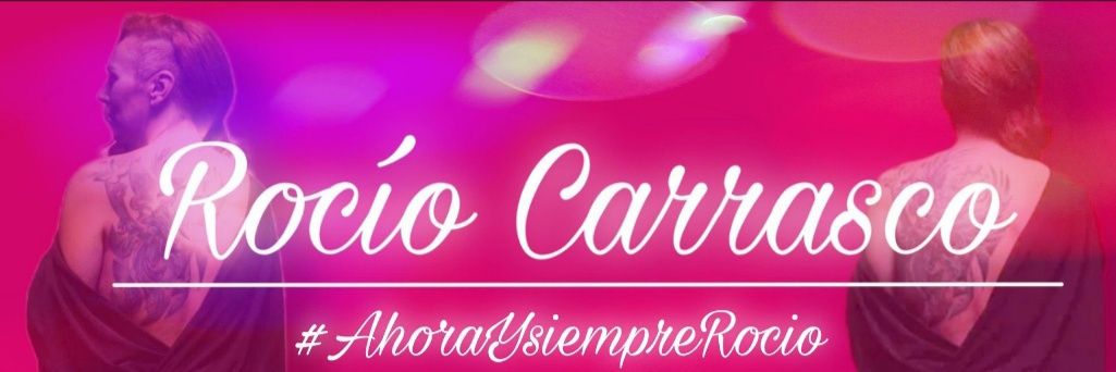 delfi banner