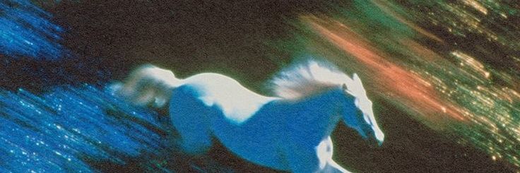 ram banner