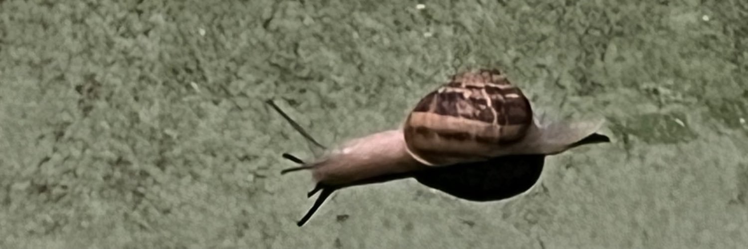 Alejandro Mesa banner