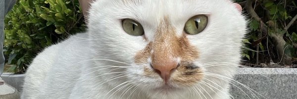 GG1207 Profile Banner