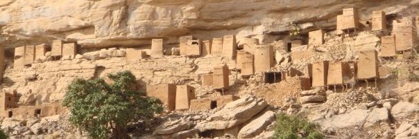 Peter Donelan banner