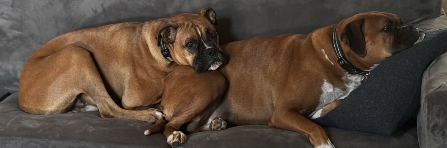 Marc Lang 🇺🇸🇺🇸🇺🇸 banner