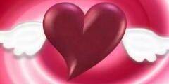 nict2005's profile banner image