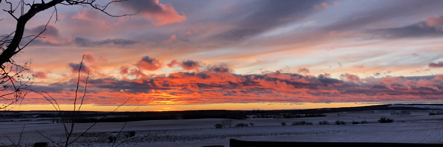 Danielle Lysak banner