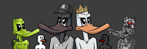 duckyproject.algo Profile Banner