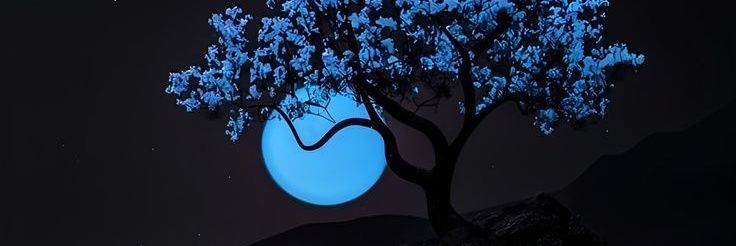moazayub2010's profile banner image