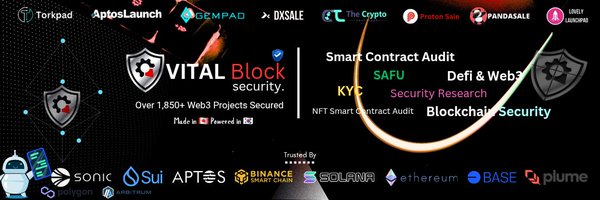 VB_Audit Profile Banner