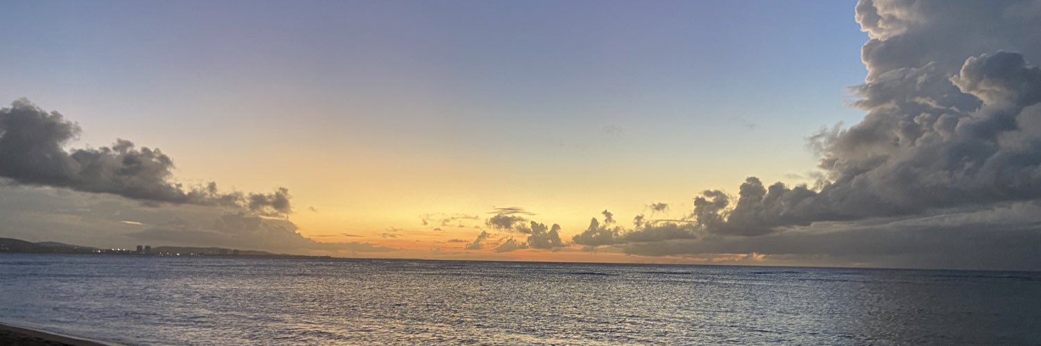 manuelenrike's profile banner image
