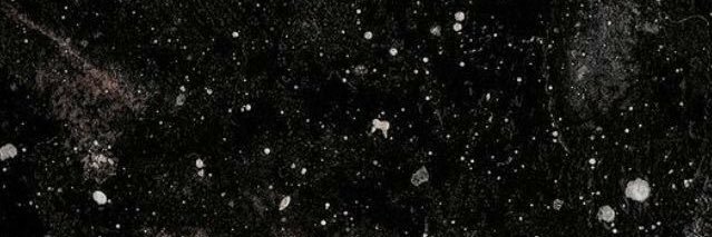 palopulian's profile banner image