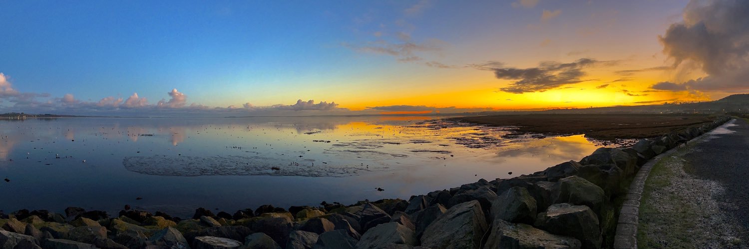 Alex Campbell banner