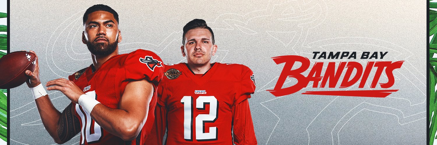 Tampa Bay Bandits banner