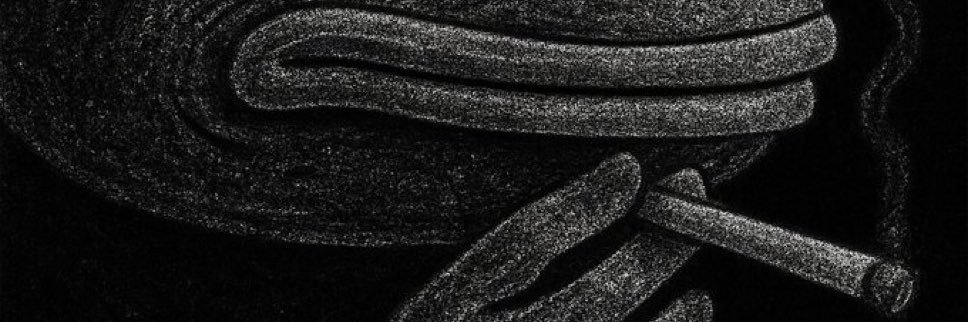 PloucEth's profile banner image