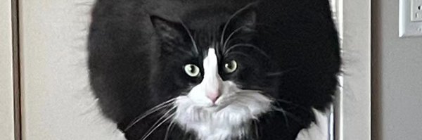 jiani_huang_ai Profile Banner