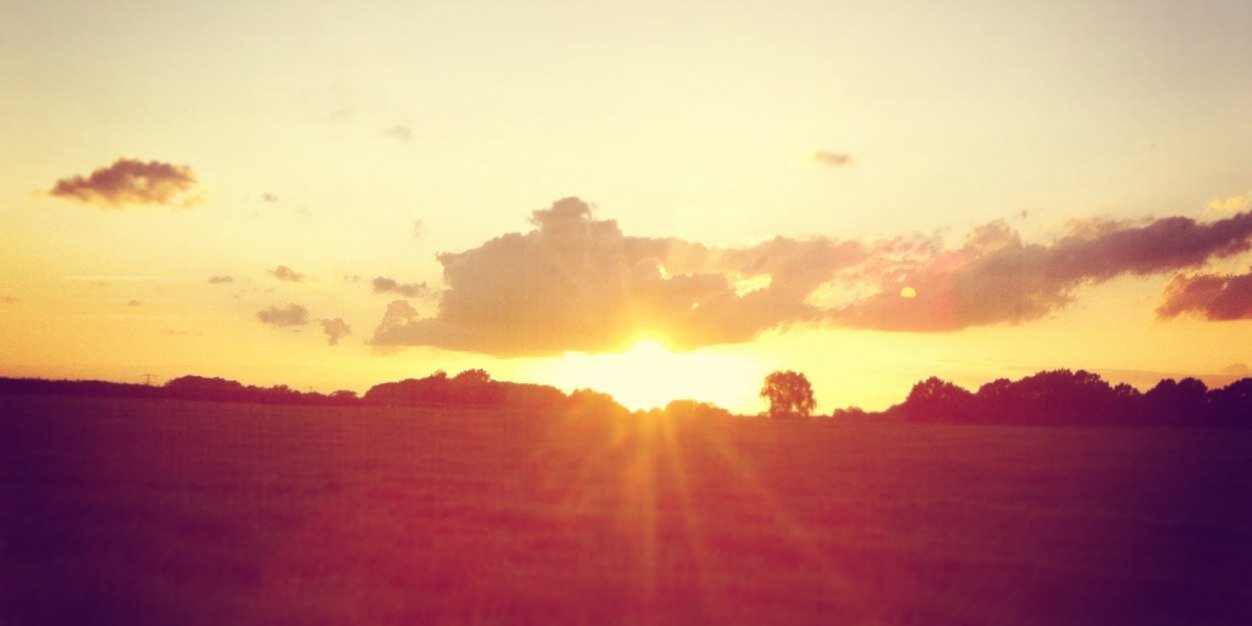 tschothuis's profile banner image