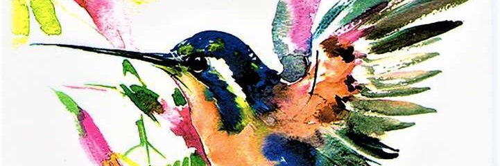 Diana Castro Alvarez banner