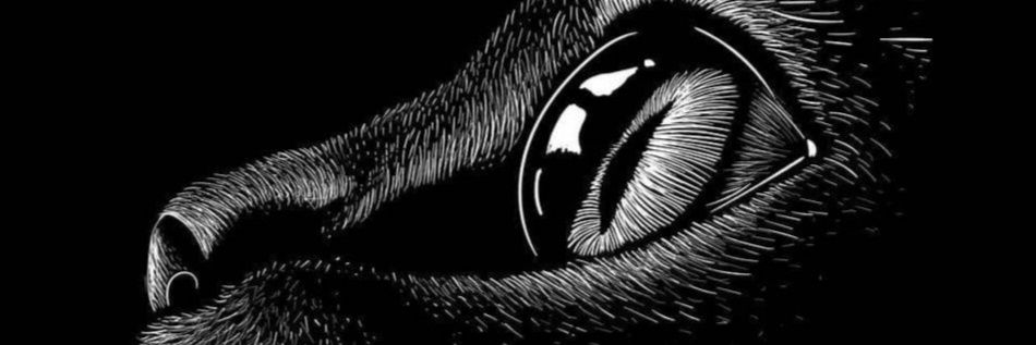 areork's profile banner image