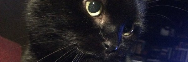 dujoxy Profile Banner