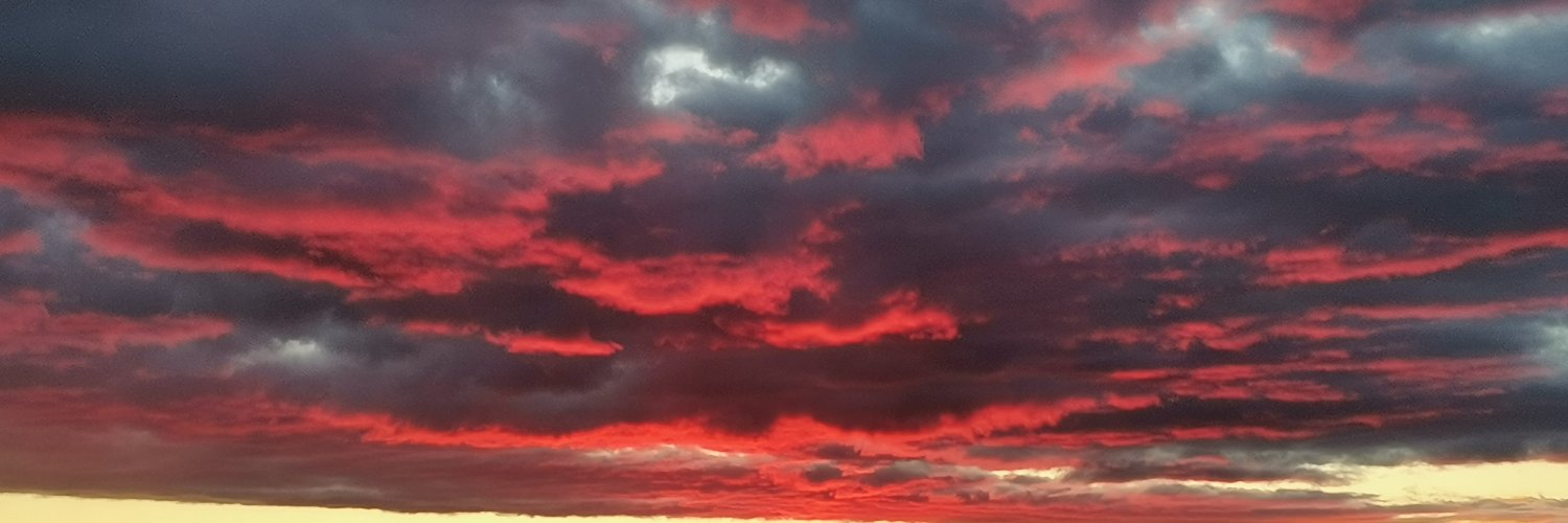 cjrodmar's profile banner image