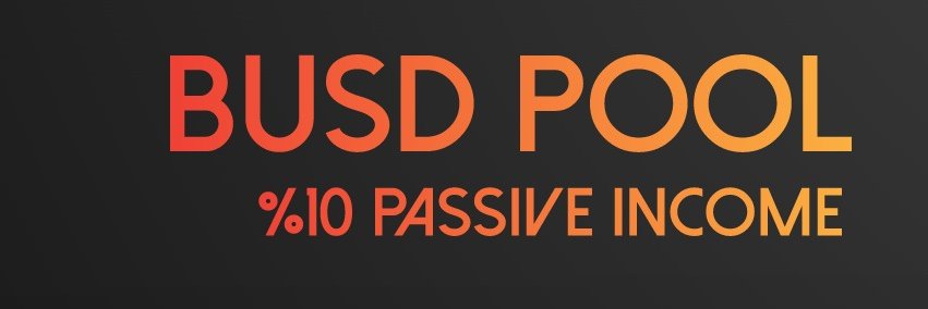 BusdPool's profile banner image
