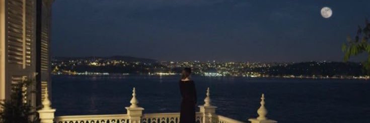 نوفي banner