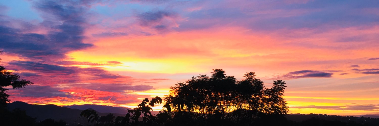 leydc's profile banner image